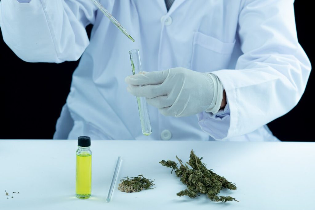 Manage Your Physical Health Problems Naturally With A THCA Flower